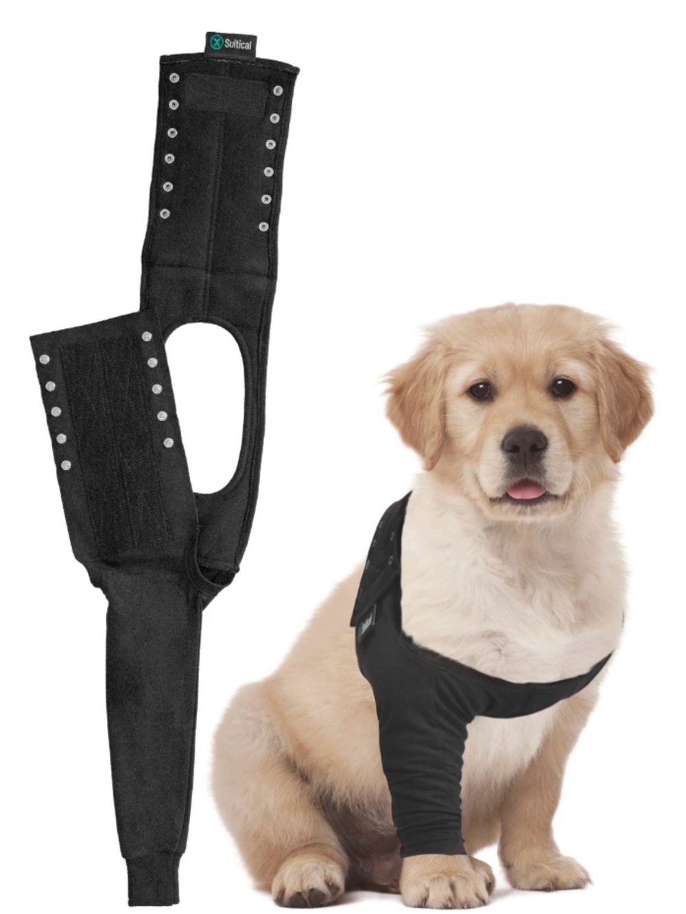 Suitical Recovery Sleeve for Dogs, Black, Small Hot Spots Surgery Injury Shield